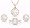 Gümüş Rose Yuvarlak Montür Tek Taş Set