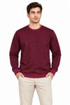 Erkek Bisiklet Yaka İçi Şardonlu 2 İplik Düz Uzun Kollu Regular Fit Sweatshirt -Bordo