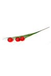 Kırımızı Soğan Çiçeği 95 Cm (Wn1032)