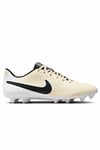 NIKEKramponNike Legend 10 Club Fg Erkek Krampon Ayakkabı DV4344-700-SARI