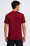 NIKETişörtNike M NK DF PARK VIII JSY SS Erkek Tişört HV8173-677BORDO