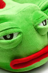 TWIGYPandufTwigy Frog Unisex Panduf Ayakkabı YY0286Yeşil