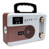 Everton RT-355BT USB/SD/FM/AW/SW/AUX/Bluetooth Destekli Müzik Kutusu