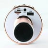 HandHeld Wireless Karaoke Bluetoothlu Mikrofon Speaker