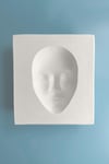 Plaster Mold Mask