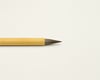 C2-1 Midilli Kılı Bambu Fırça
