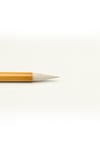 C8-2 BAMBOO BRUSH