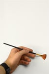 Fan Brush
