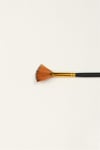 Fan Brush