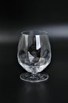RCR 6'lı Alkemist Kristal Konyak Kadehi 530 ml
