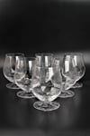 RCR 6'lı Alkemist Kristal Konyak Kadehi 530 ml