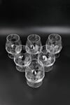 RCR 6'lı Alkemist Kristal Konyak Kadehi 530 ml