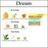 dream açık parfüm