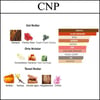 KRISTAL NOIR PR. 2024 [CNP] 50 ML
