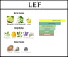 LE FRENCHY [LEF]