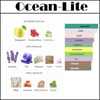 LN.RS OCEAN 2021 [Ocean-Lite] 250 ML ERKEK