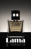 Yves Saint laurent - L'Homme