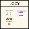 Yves Saint Laurent - Body Kouros