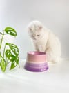 Seramik Kedi ve Köpek Mama Su Kabı (LİLA-MOR)