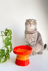 Seramik Kedi ve Kopek Mama Su Kabı (Turuncu)