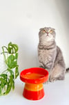 Seramik Kedi ve Kopek Mama Su Kabı (Turuncu)
