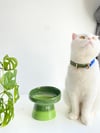 Seramik Kedi ve Kopek Mama Su Kabı (Yeşil-Fıstık Yeşili)