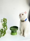 Seramik Kedi ve Kopek Mama Su Kabı (Yeşil-Fıstık Yeşili)