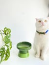 Seramik Kedi ve Kopek Mama Su Kabı (Yeşil-Fıstık Yeşili)