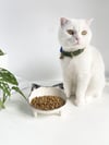 Seramik Sweet Cat Kedi Mama- Su Kabı (Siyah Desen)