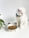 Seramik Sweet Cat Kedi Mama- Su Kabı (Siyah Desen)