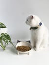 Seramik Sweet Cat Kedi Mama- Su Kabı (Siyah Desen)