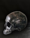 SKULL LABAL