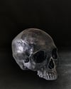 SKULL LABAL