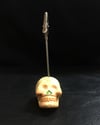 SKULL Not Tutucu