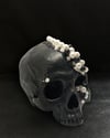 SKULL STRIGOI