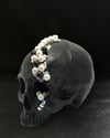 SKULL STRIGOI