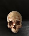 SKULL VODYANOY