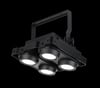 Martin RUSH BLINDER 1 WW