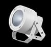 Martin RUSH PAR 3 RGBW WHITE
