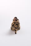 Drop Leopard 5 cm-Kısa Topuklu-Mio Gusto-09037LEO