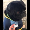 Metal Kemik Model Köpek Künyesi