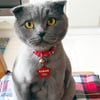 Metal Yıldız Model Kedi & Köpek Künyesi