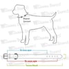 Pullu Kedi & Köpek Boyun Tasması