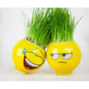 Emoji Çim Adam Çimoji