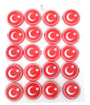 Ayyıldız Metal Rozet Hediyelik