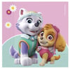 Paw Patrol Skye Everest Temalı Lisanslı Kağıt PeçeteLisanslı Peçeteler