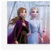 Lisanslı PeçetelerFrozenII Temalı Kağıt PeçeteRoll Up