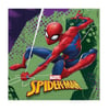 Lisanslı PeçetelerSpiderman Temalı Lisanslı Kağıt PeçeteRoll Up