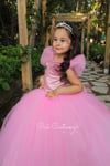 Rubie's Pink Prenses Elbisesi