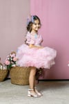 Sindirella Kostümü Kelebek Mini Pembe